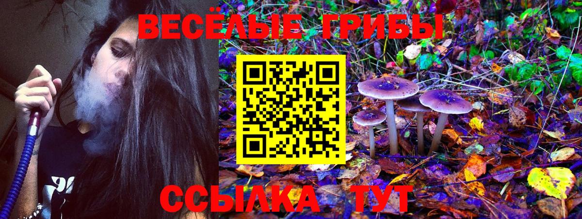 Псилоцибиновые грибы мицелий  Вход с VPN  Белореченск  Псилоцибиновые грибы Magic Shrooms 