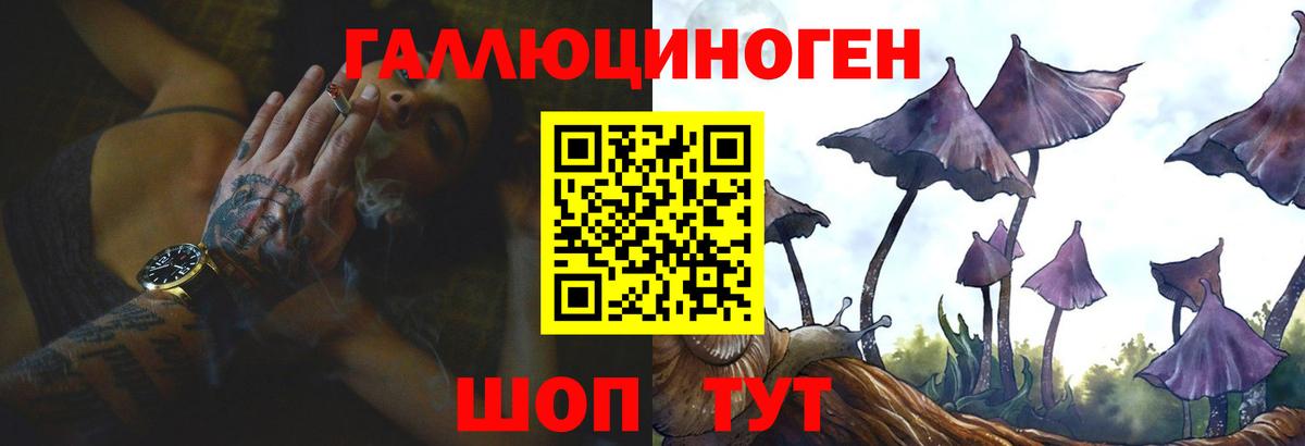 Галлюциногенные грибы прущие грибы Белореченск